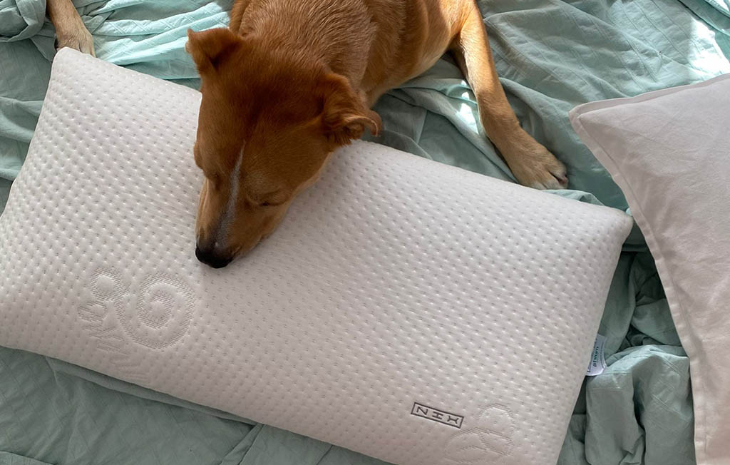 Almohada de calidad, tu mejor aliada para el mejor descanso.